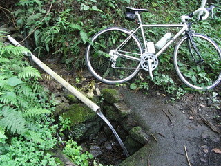 RIMG0063_1.JPG