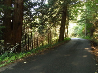 RIMG0077_1.JPG