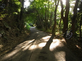 RIMG0081_1.JPG