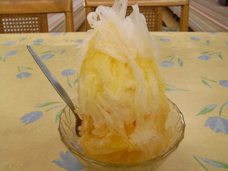 RIMG0089_1.JPG