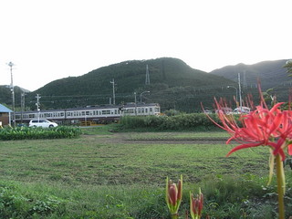 RIMG0091_1_1.JPG