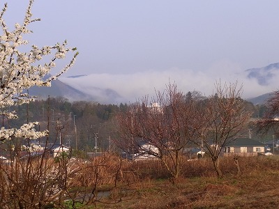 RIMG0380.jpg
