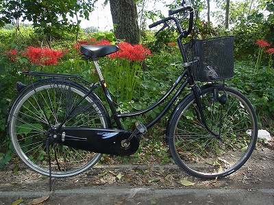 RIMG0387.jpg