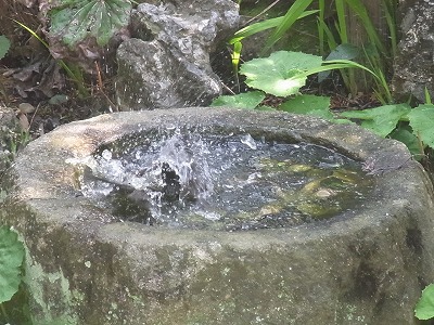 RIMG0408.jpg