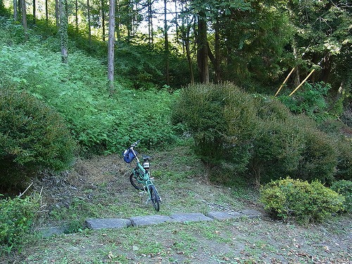 RIMG0496.jpg