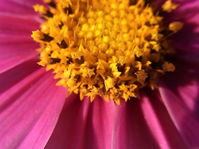 RIMG0903.jpg