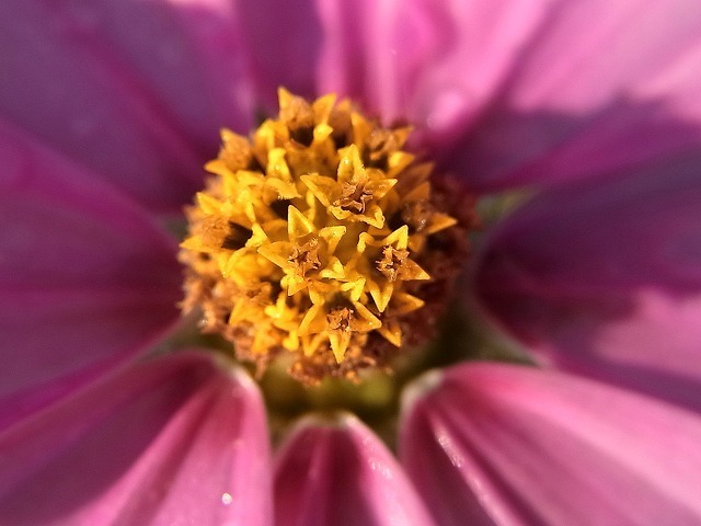 RIMG0908.jpg