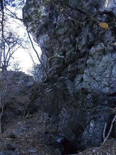 RIMG1251.jpg