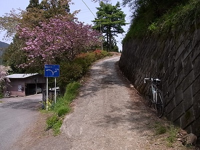 RIMG1410.jpg