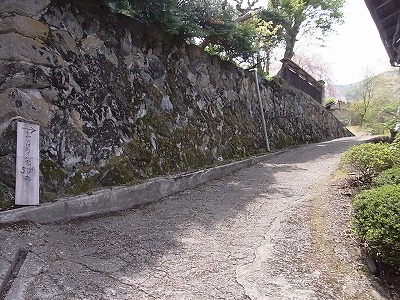 RIMG1413.jpg