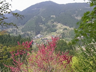 RIMG1427.jpg