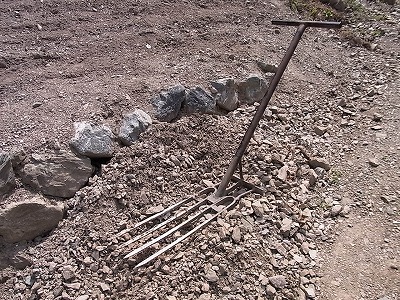 RIMG1442.jpg