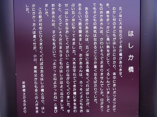 RIMG1778.jpg