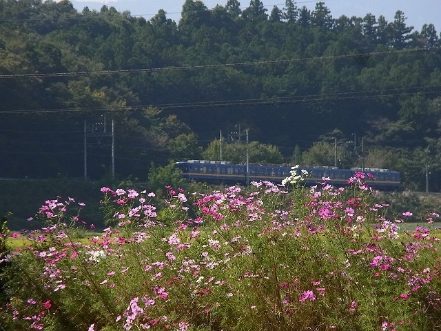 RIMG2365.jpg