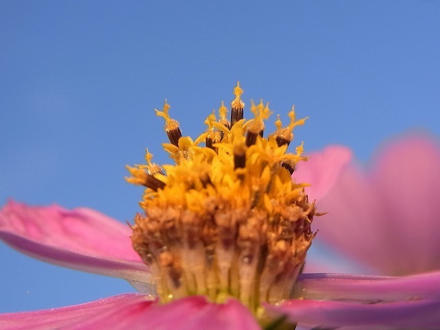 RIMG2376-2.jpg