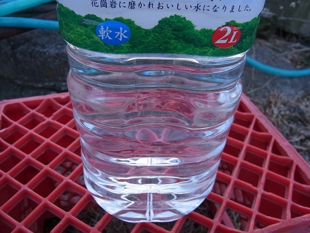 RIMG3151.jpg