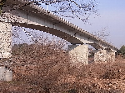 RIMG3567.jpg