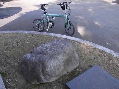 RIMG3577.jpg