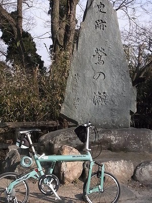 RIMG3590.jpg