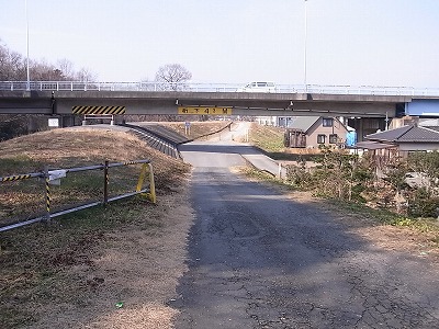 RIMG3665.jpg