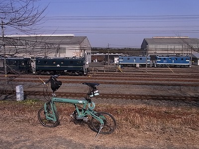 RIMG3672.jpg