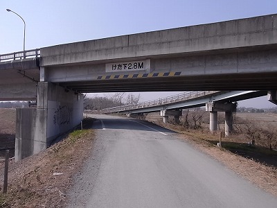 RIMG3681.jpg