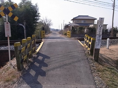 RIMG3684.jpg