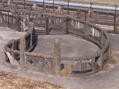 RIMG3692.jpg