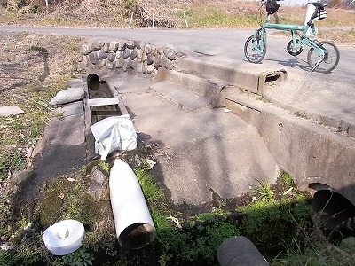 RIMG3715.jpg