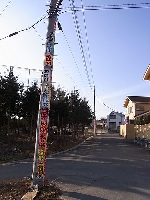 RIMG3960.jpg