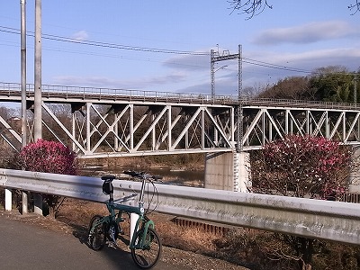 RIMG3968.jpg