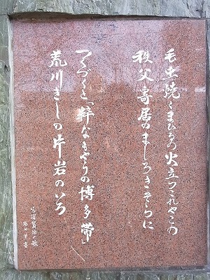 RIMG3984.jpg