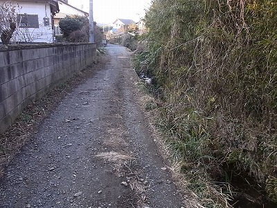 RIMG4006.jpg