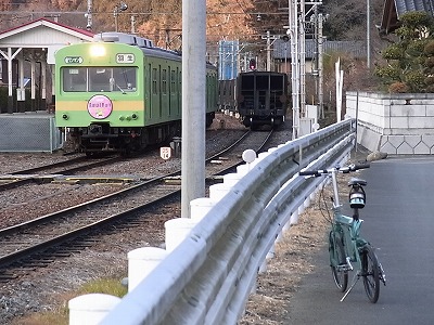 RIMG4031.jpg