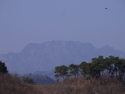 RIMG4316.jpg