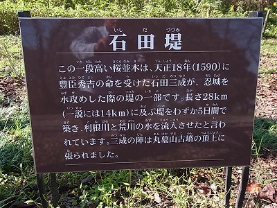 RIMG4347.jpg