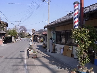 RIMG4462.jpg