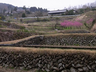RIMG5454.jpg