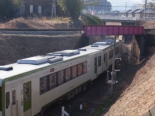 RIMG6597.jpg