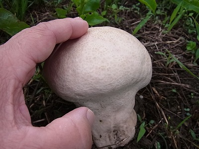 RIMG6793.jpg