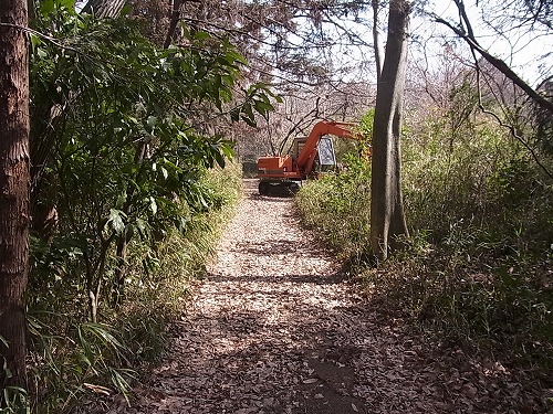 RIMG7115.jpg