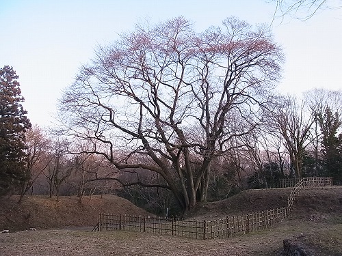 RIMG7523.jpg