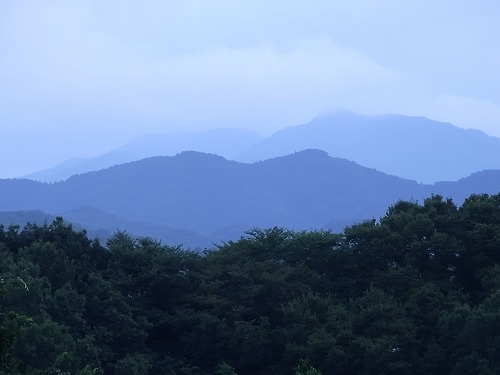 RIMG7810.jpg