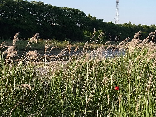 RIMG9345.jpg