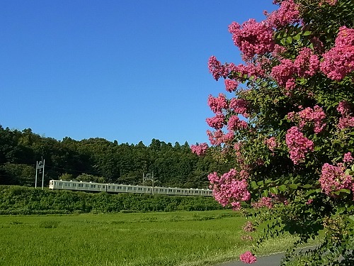 RIMG9489.jpg