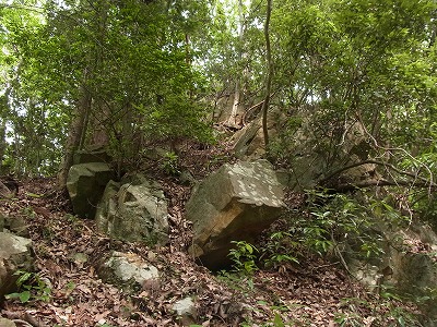 RIMG9879.jpg