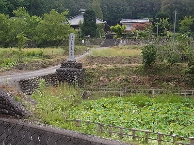 RIMG9901.jpg