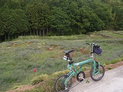RIMG9907.jpg