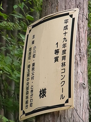 RIMG9917.jpg