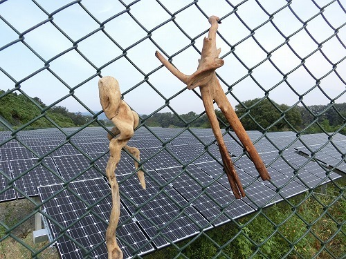 free.jpg
